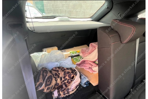 2023 Ford Kuga, Dyzelinas